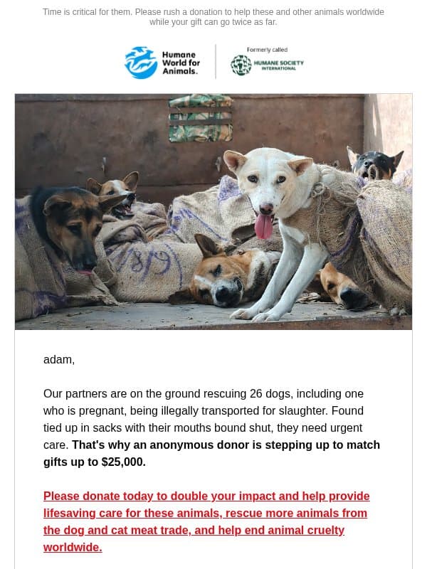 Double your impact: Dog meat truck rescue email from Humane Society of the United States