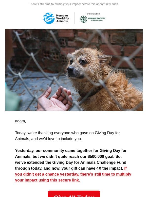 One more day for animals email from Humane Society of the United States