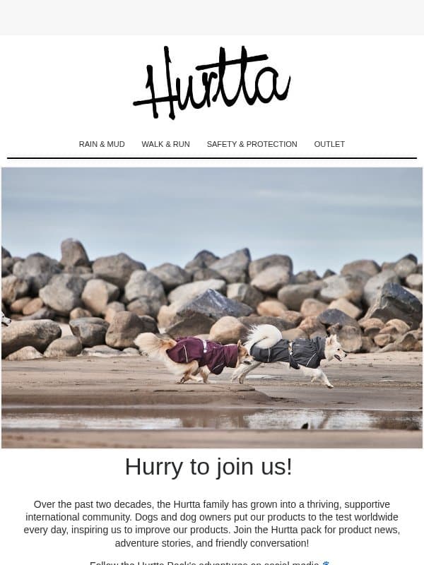 Follow us on Social Media 🤩! email from Hurtta