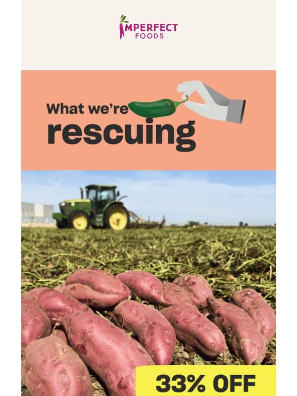 Save Big On Japanese Sweet Potatoes + What’s New This Week email from Imperfect Foods