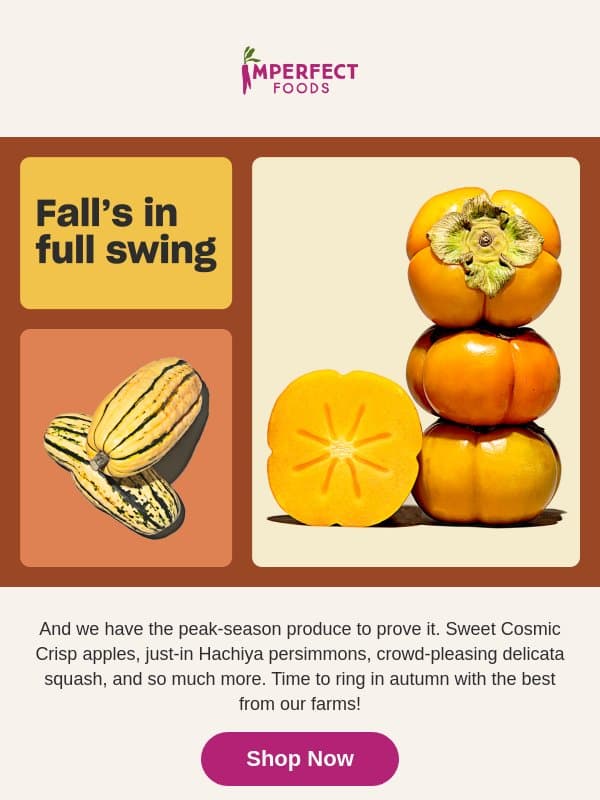 Peak Fall Produce, Delivered email from Imperfect Foods