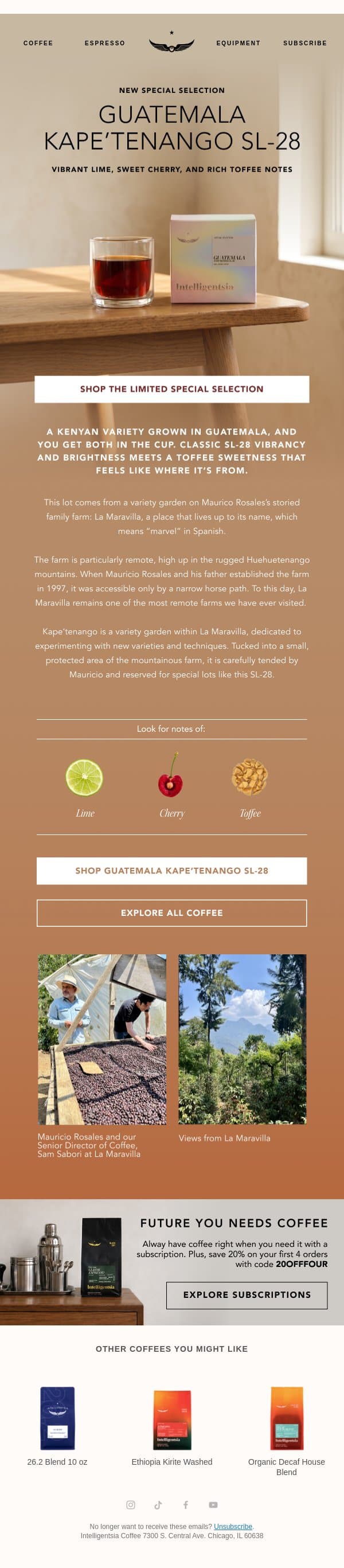 New Special Selection: Guatemala Kape’tenango SL-28 email from Intelligentsia Coffee screenshot
