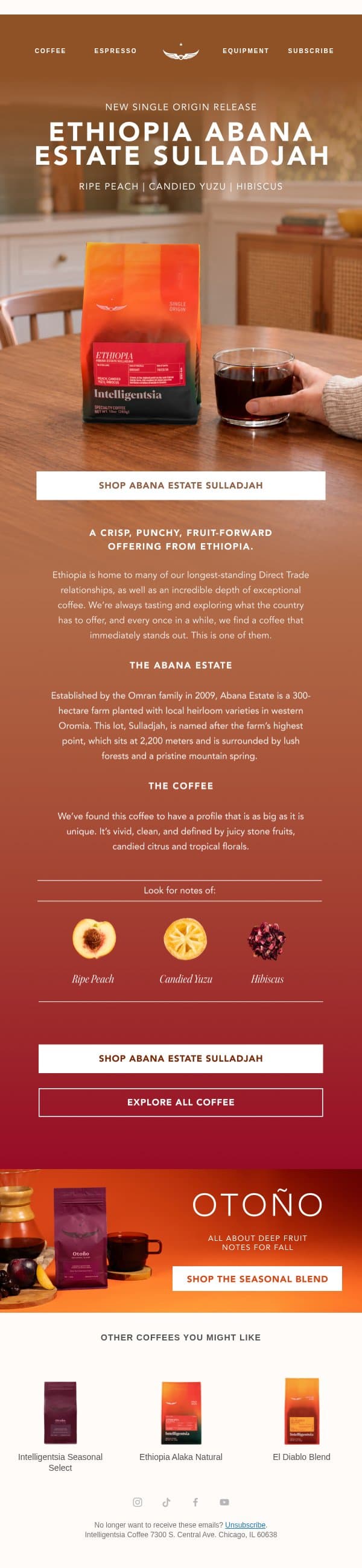 New Single Origin Release: Ethiopia Abana Estate Sulladjah email from Intelligentsia Coffee screenshot