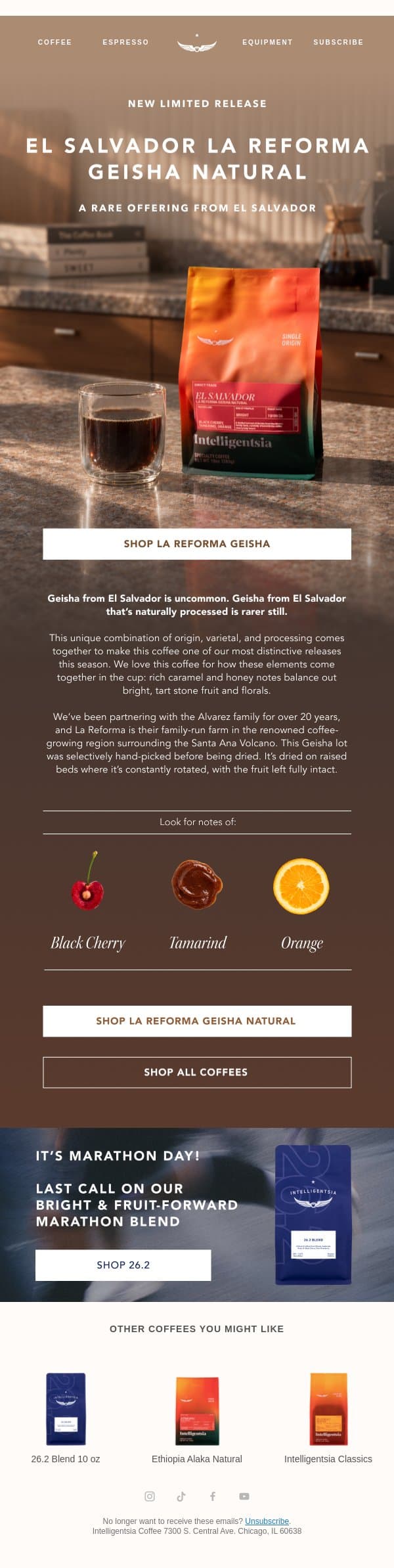 A Geisha you won’t see often. email from Intelligentsia Coffee screenshot