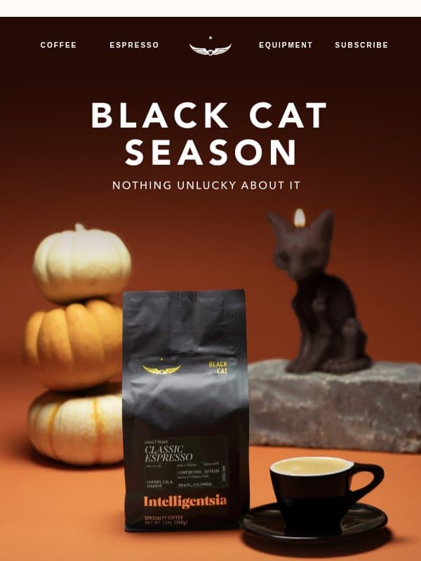 Black Cat Espresso: Your Halloween Treat 🐈⬛ email from Intelligentsia Coffee