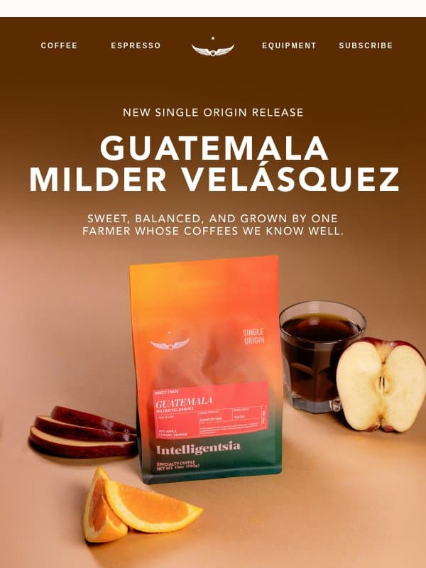 New Single Origin Release: Guatemala Milder Velasquez. email from Intelligentsia Coffee