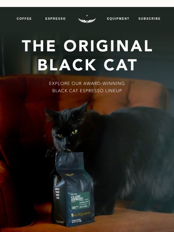 The Original Black Cat 🐈⬛ email from Intelligentsia Coffee