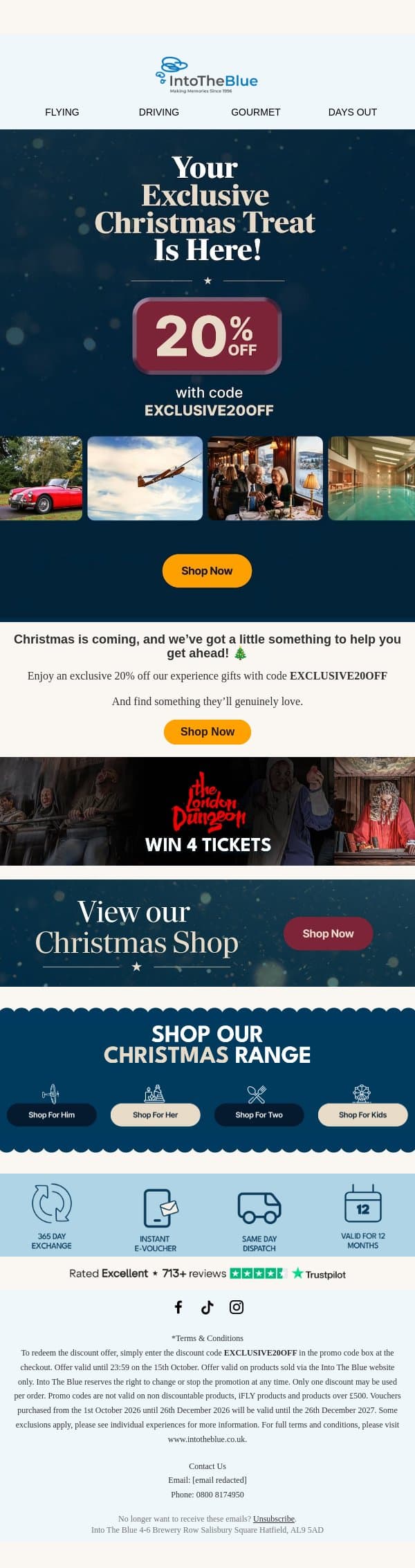An Early Christmas Offer Just for You! email from Into the Blue screenshot