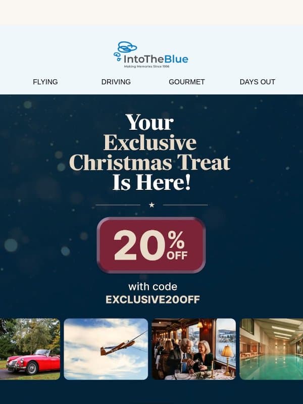 An Early Christmas Offer Just for You! email from Into the Blue