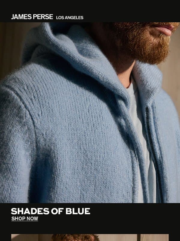 Shades of Blue email from James Perse