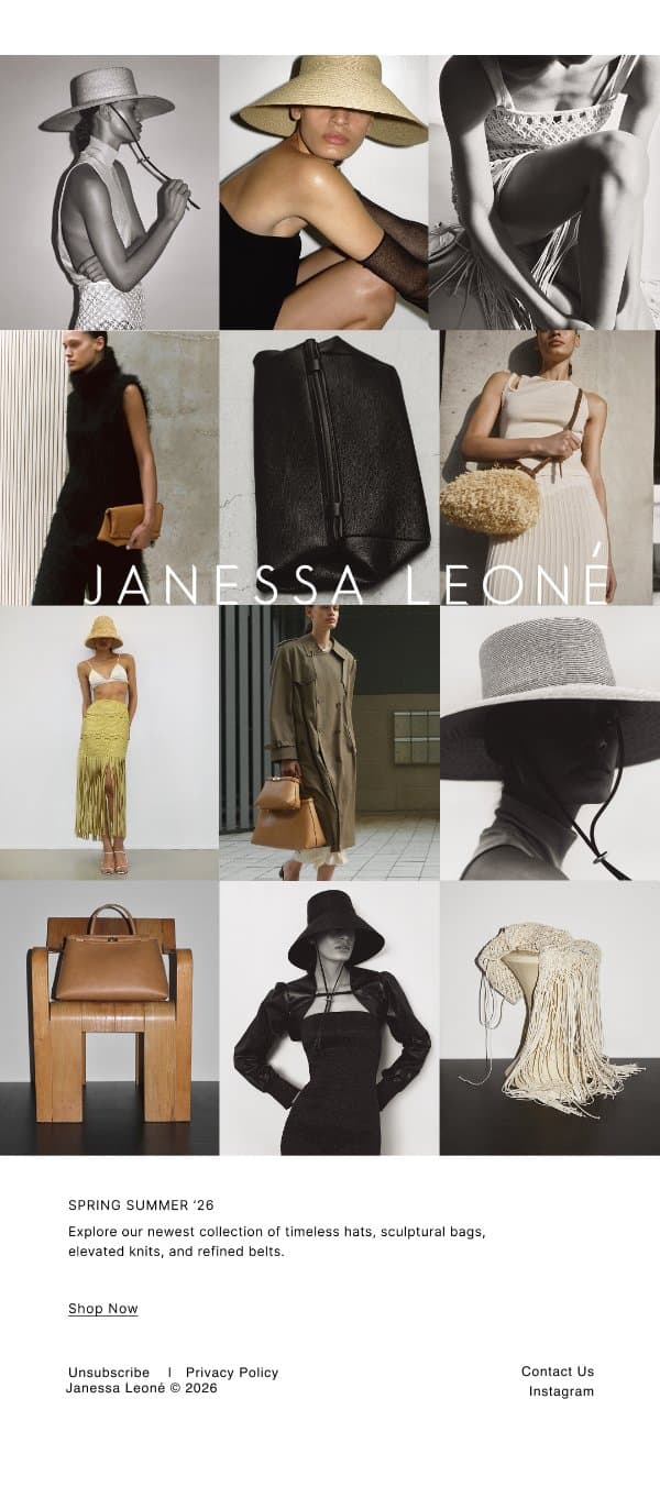 Explore our Newest Collection email from Janessa Leone screenshot