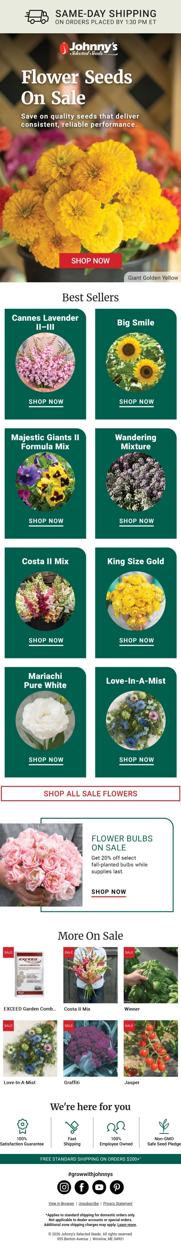 Up to 50% Off Flower Seeds email from Johnny's Selected Seeds screenshot