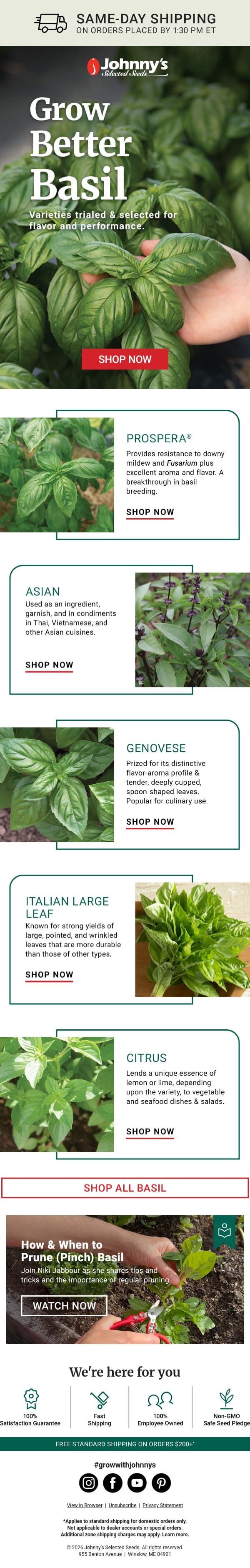 Find the Right Basil email from Johnny's Selected Seeds screenshot