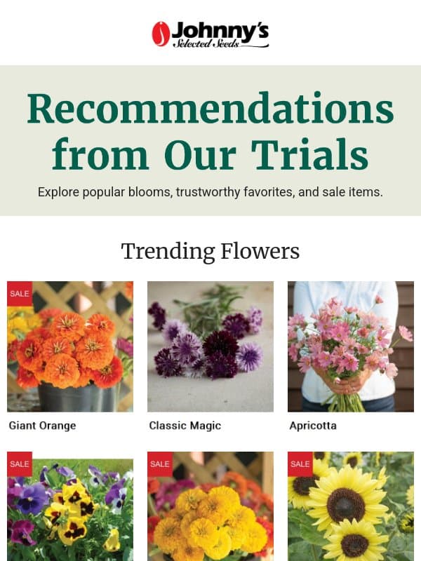 Try These Recommendations Next email from Johnny's Selected Seeds