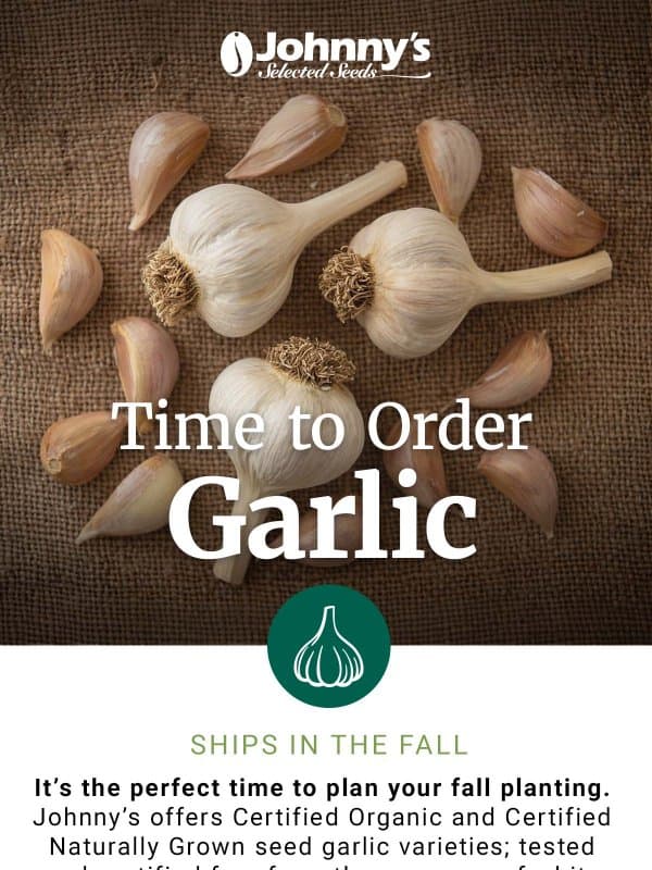 Premium Seed Garlic for Pre-Order email from Johnny's Selected Seeds