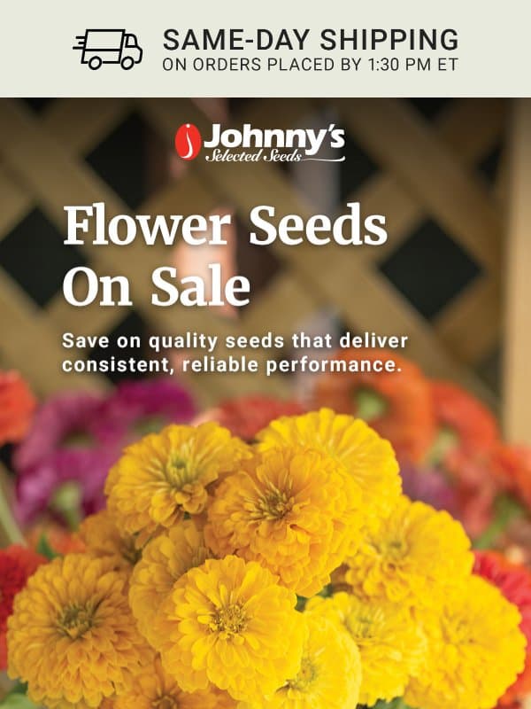 Up to 50% Off Flower Seeds email from Johnny's Selected Seeds