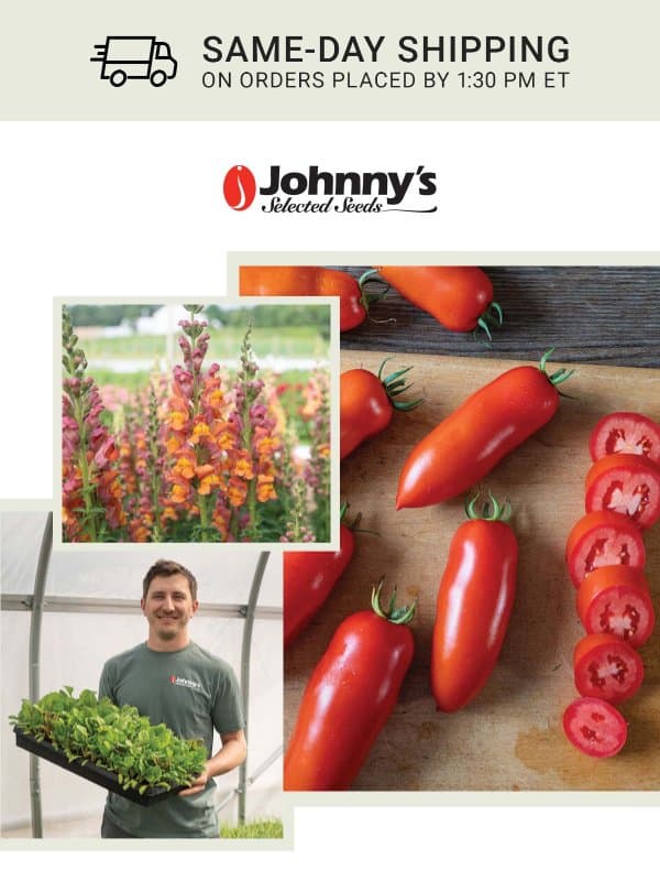 What’s New & Recently Added email from Johnny's Selected Seeds