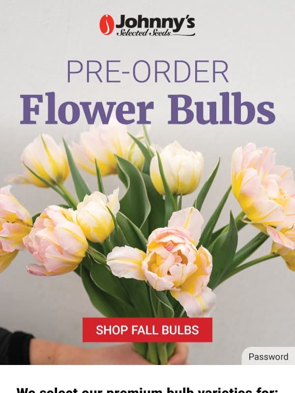 Quality Flower Bulbs for Reliable Blooms email from Johnny's Selected Seeds