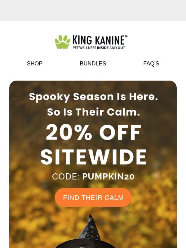 Spooky Season is here 🎃 🐕 email from King Kanine