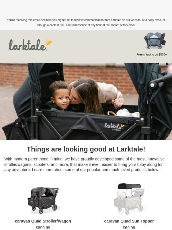 Check out our best-sellers 😍 email from Larktale