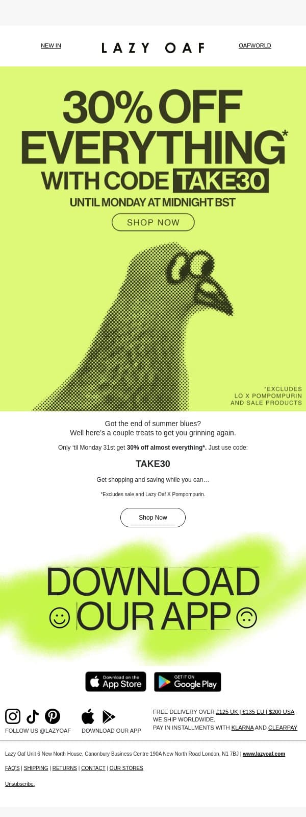 30% OFF FOR A LIMITED TIME π€ email from Lazy Oaf screenshot