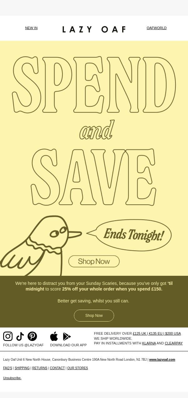 Ending: Spend and Save ⏰🥵 email from Lazy Oaf screenshot