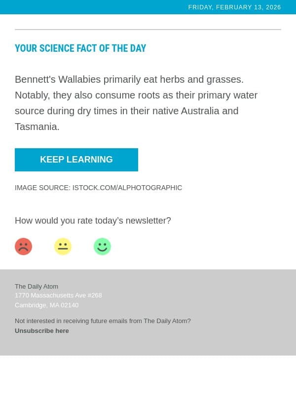 Bennett's Wallabies Are Herbivores. email from Leapfrog Technology