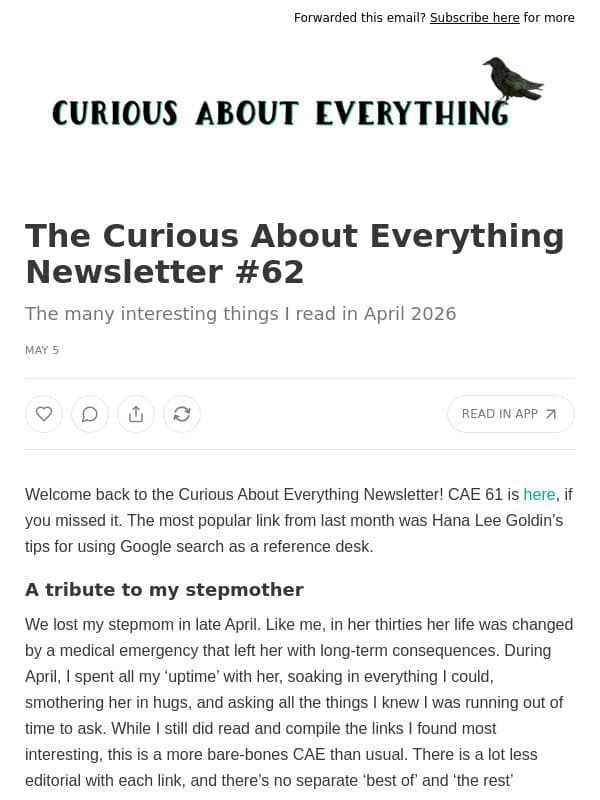 The Curious About Everything Newsletter #62 email from Legal Nomads