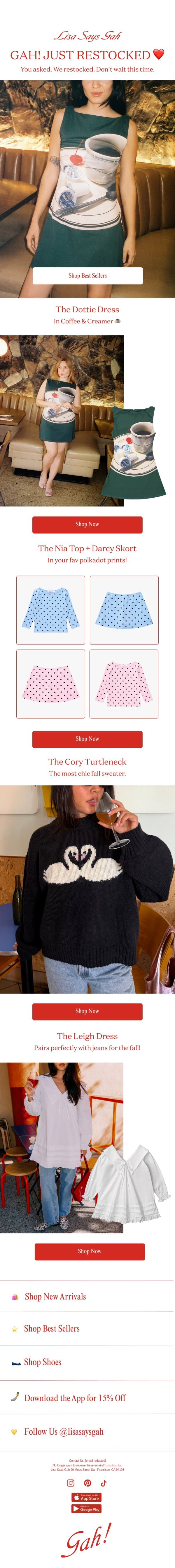JUST RESTOCKED 📣 email from Lisa Says Gah screenshot