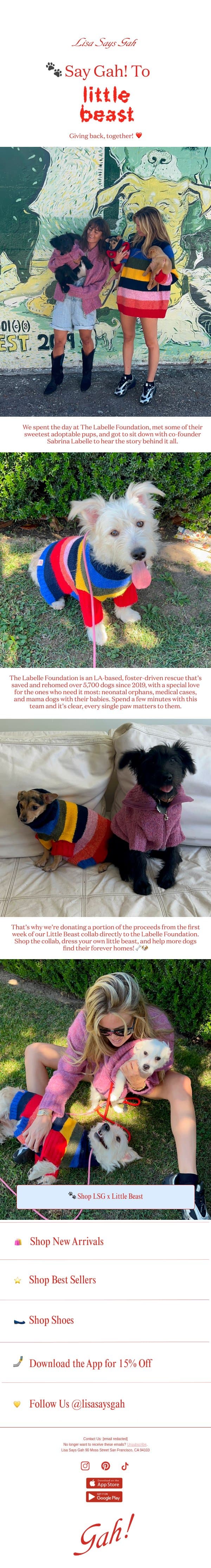 Shop the collab, help a pup 🐾 email from Lisa Says Gah screenshot