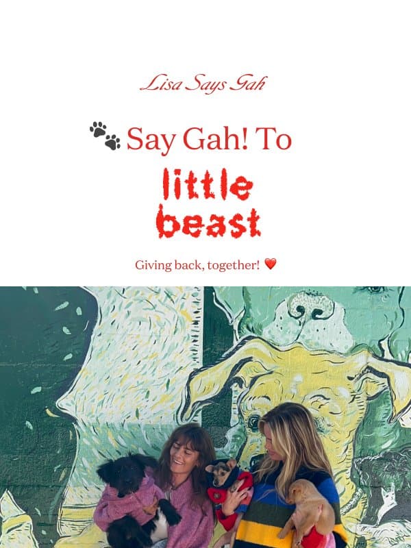 Shop the collab, help a pup 🐾 email from Lisa Says Gah