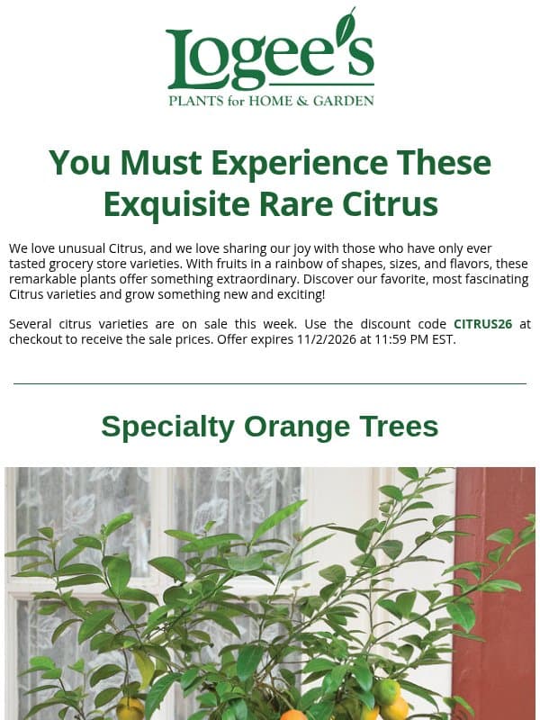 Blood Oranges, Finger Limes, and Mysterious Citrus Hybrids 🍋 email from Logee's Plants