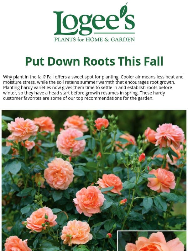 Fall is for Planting 🌿 email from Logee's Plants