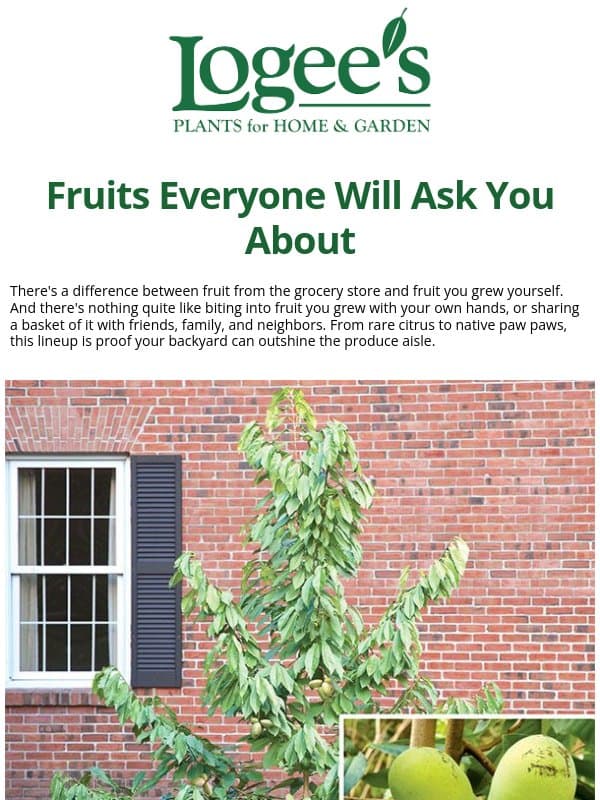 Fruit So Good Your Neighbors Will Notice👀 email from Logee's Plants