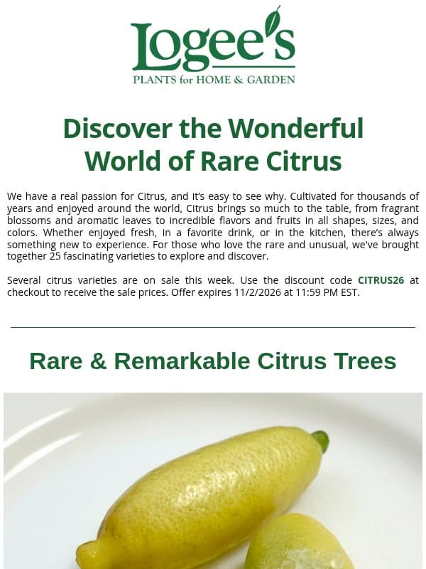 Rare Citrus: An Invitation to Explore email from Logee's Plants