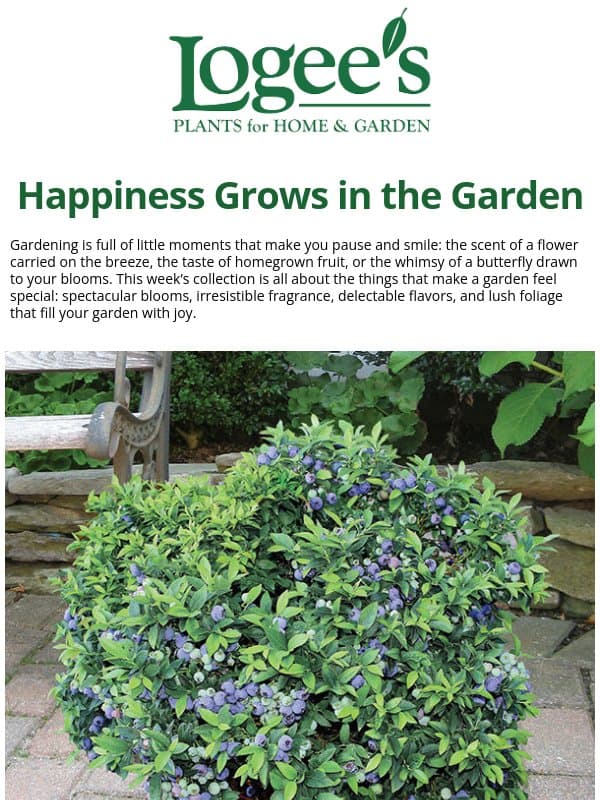 Remember Why You Love Gardening email from Logee's Plants