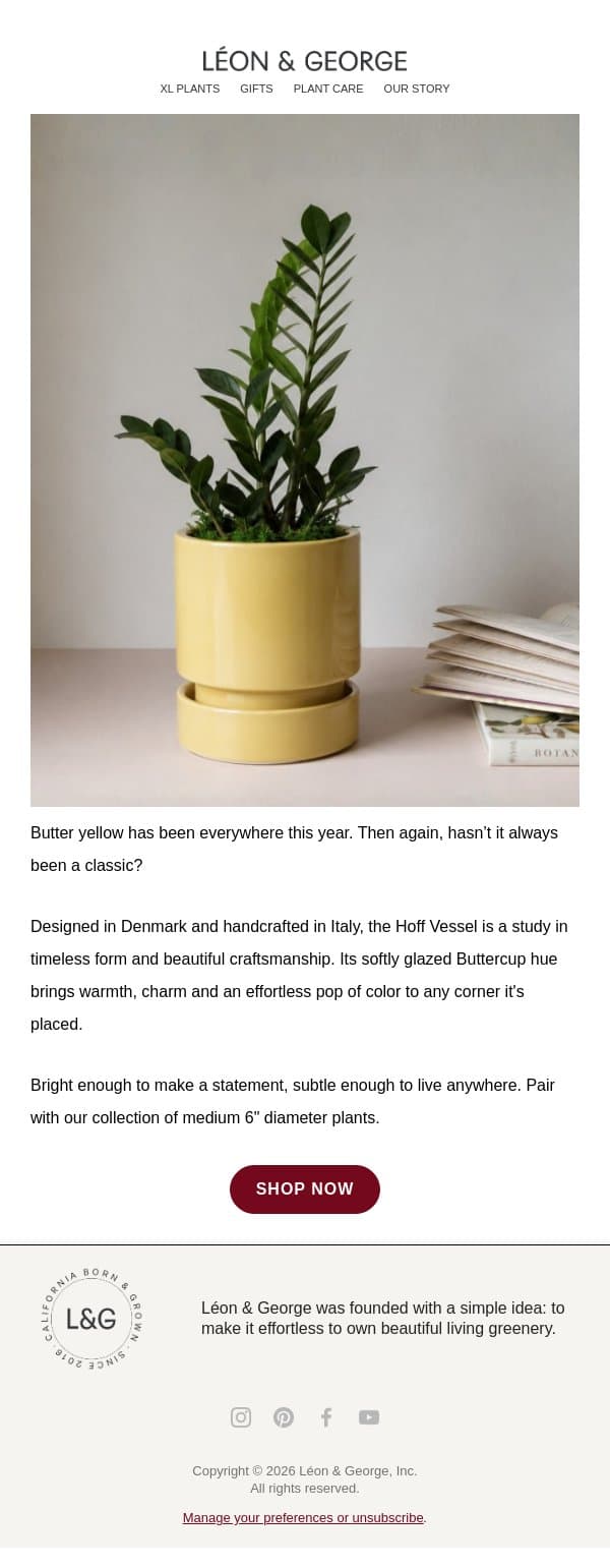 Yearning for Yellow 💛 email from Léon & George screenshot