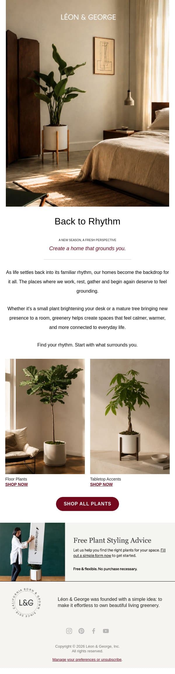 Create a home that grounds you ✨ email from Léon & George screenshot