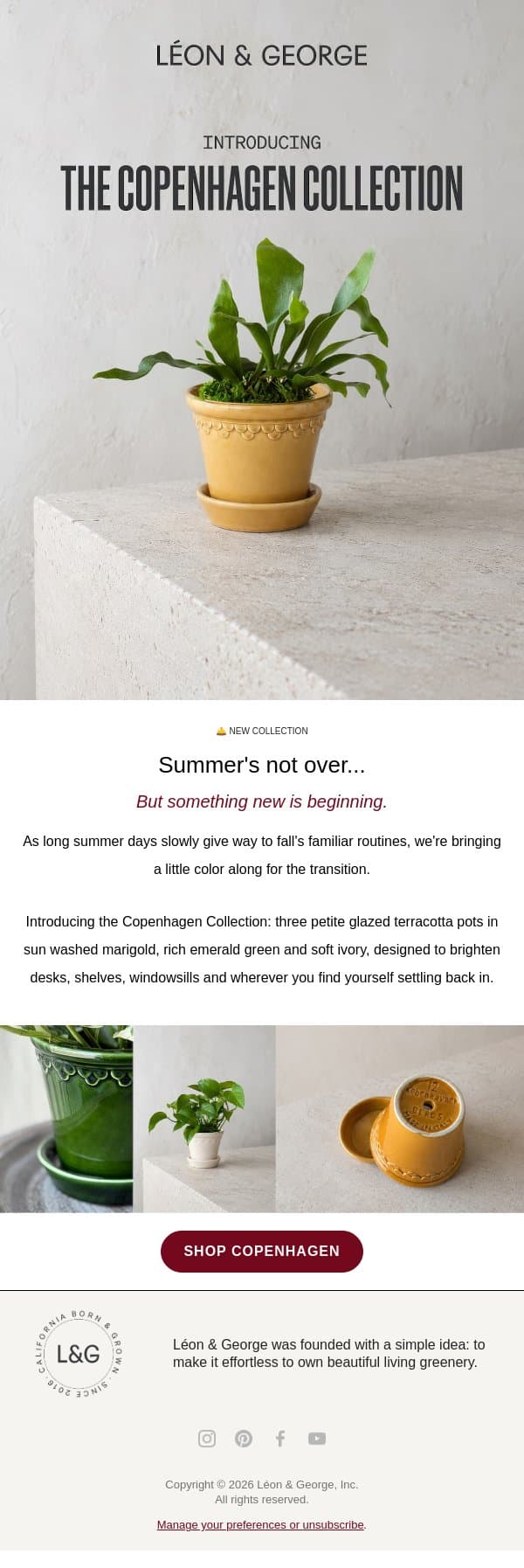 Introducing the Copenhagen Collection email from Léon & George screenshot