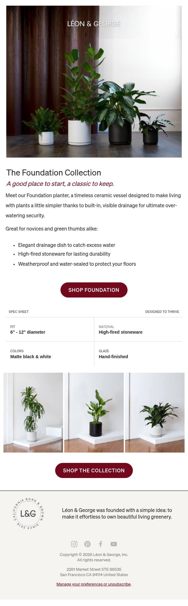 Every great plant collection starts somewhere email from Léon & George screenshot