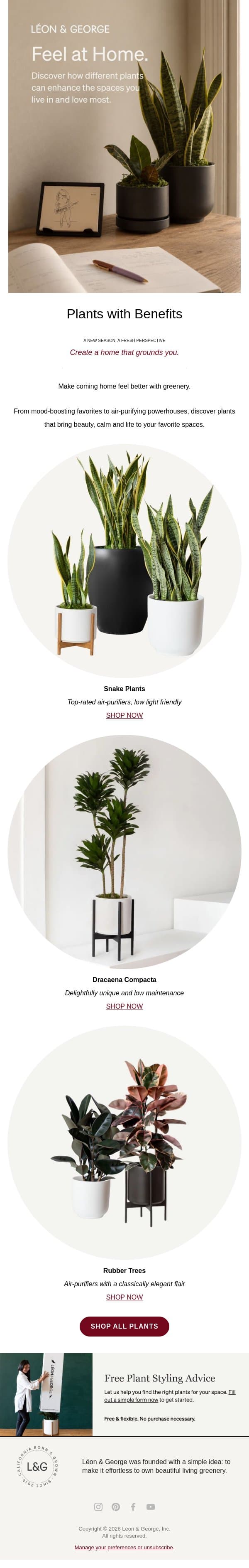 The plants that make coming home better email from Léon & George screenshot