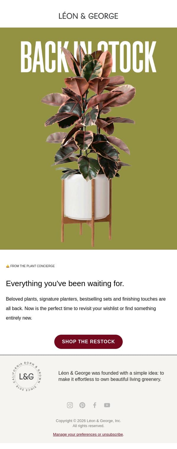 Big Greenhouse Restock 💫 email from Léon & George screenshot