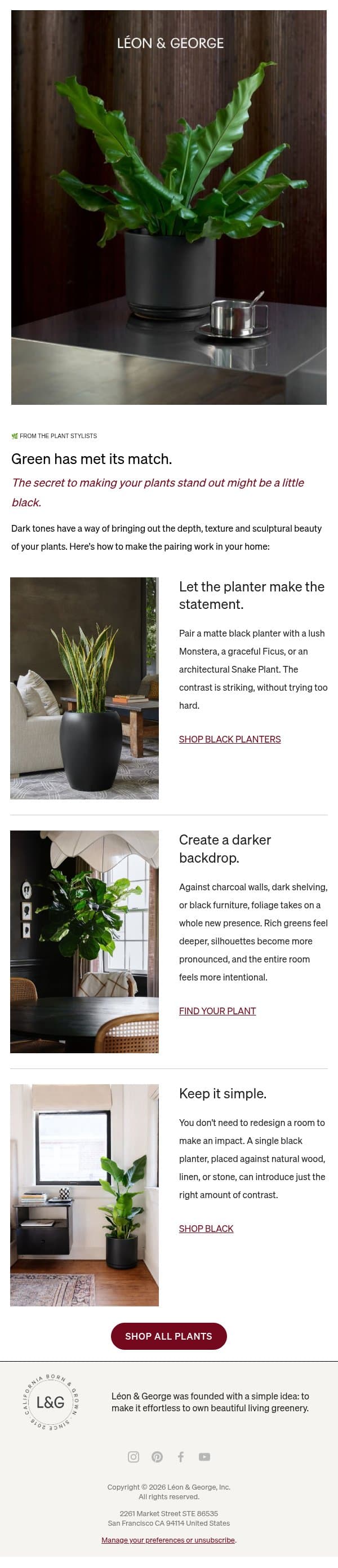 Black + green = beautifully balanced email from Léon & George screenshot