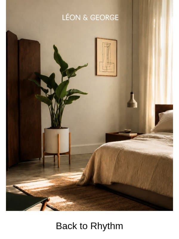 Create a home that grounds you ✨ email from Léon & George