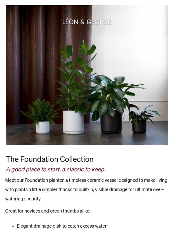 Every great plant collection starts somewhere email from Léon & George