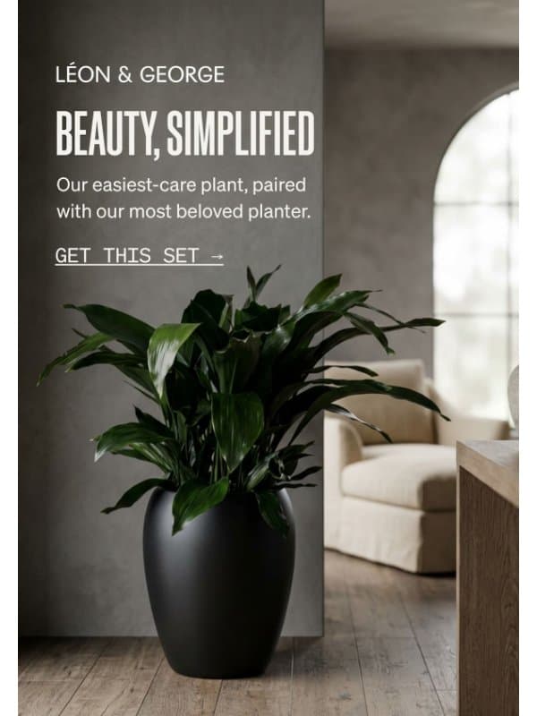 Cast Iron + Calix = 😍 email from Léon & George