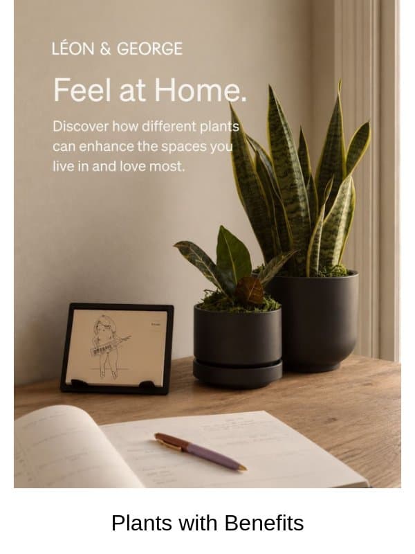 The plants that make coming home better email from Léon & George