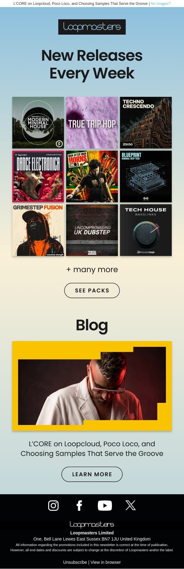 Find Your Minimal House Groove email from Loopmasters screenshot
