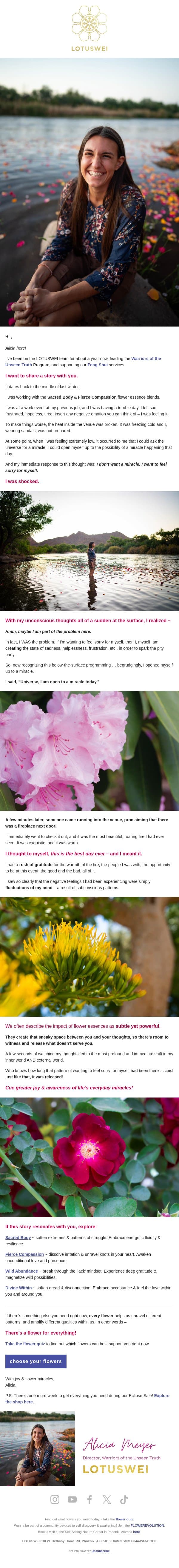 “universe, I am open to a miracle today” email from Lotus Wei screenshot