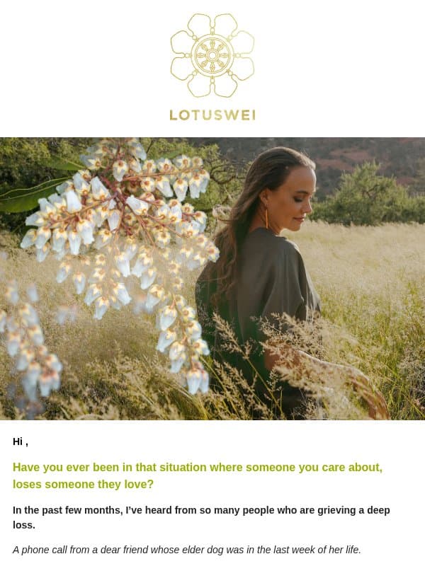 when someone you love is grieving email from Lotus Wei
